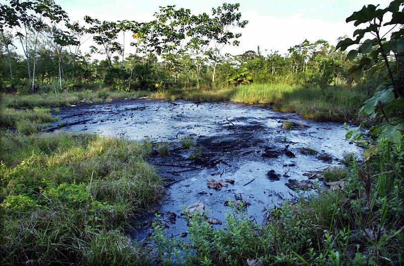 Chevron Says This Unlined Oil Pit Isn’t Harming Ecuadorians & Their Food & Water Supply In Rainforest